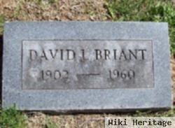 David L. Briant