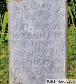 Millard L. Wellman