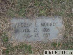 Andrew E Mooney