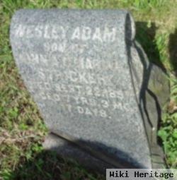 Wesley Adam Stricker