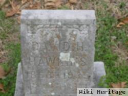 David H Hawkins