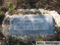 Richard E. Watson