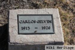 Carlos Gelvin