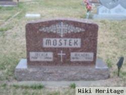 Michael "mike" Mostek