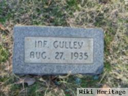 Infant Gulley