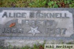 Alice Snyder Bicknell Liggett