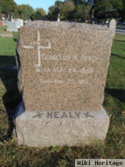 Cornelius A Healy