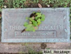 Theodore J. Blackley