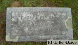 Gary A Putnam