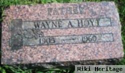 Wayne Hoyt