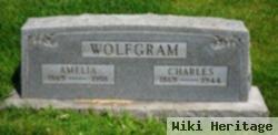 Charles Wolfgram