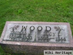 Lucy Ellen Wells Wood