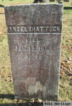 Ansel Shattuck