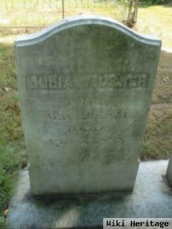 Julia Mosher