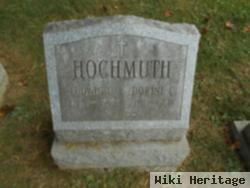 Ludwig C Hochmuth