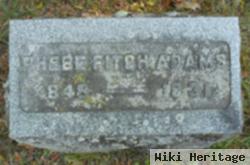Phebe Fitch Adams