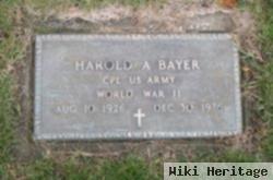 Harold A Bayer