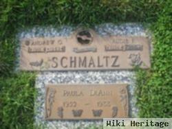 Andrew George Schmaltz, Sr