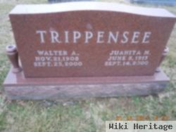 Juanita May Schneider Trippensee