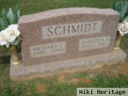 Richard E Schmidt