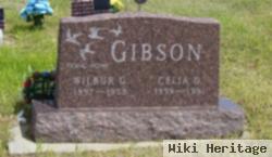 Wilbur G Gibson