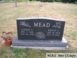 Laurie S Mead