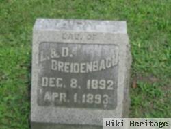 Mary S Breidenbach