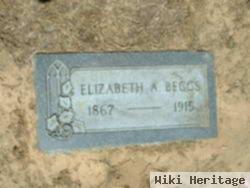 Elizabeth Ann "lizzie" Allen Beggs