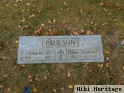 Theodore "ted" Paulson