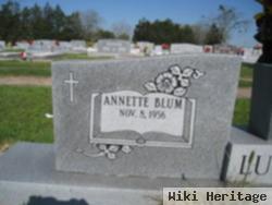 Annette Lynn Blum Luedke