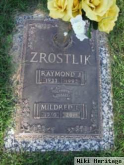 Raymond J Zrostlik