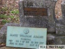 James William Adams