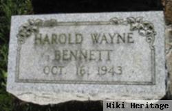 Harold Wayne Bennett