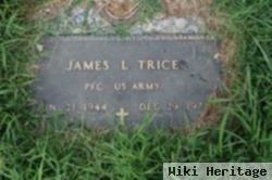 James L. Trice