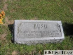 Harry Leonard Bush