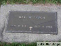 Ray Silbaugh