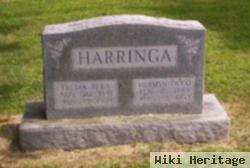 Herman Occo Harringa