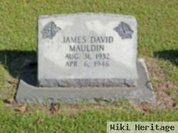 James David Mauldin