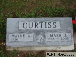 Mark J Curtiss