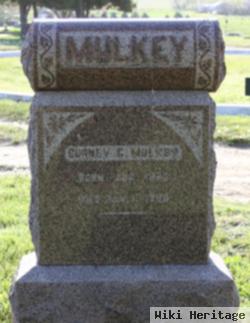 Kernel Colonel "gurney" Mulkey