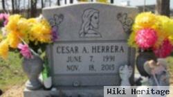 Cesar Herrera