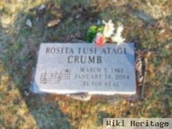 Rosita Tusi Atagi Crumb