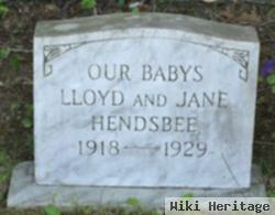 Jane Hendsbee