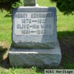 Henricus "harry" Behringer