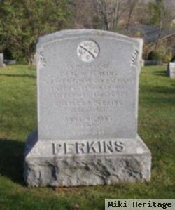 Anna Wilkins Perkins