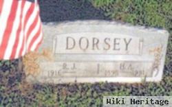 R. J. Dorsey