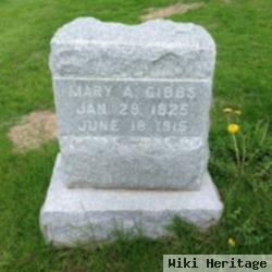 Mary Ann Mcgaw Gibbs