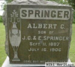 Albert C Springer