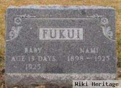 Nami Fukui