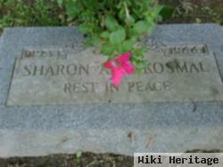 Sharon Ann Kosmal